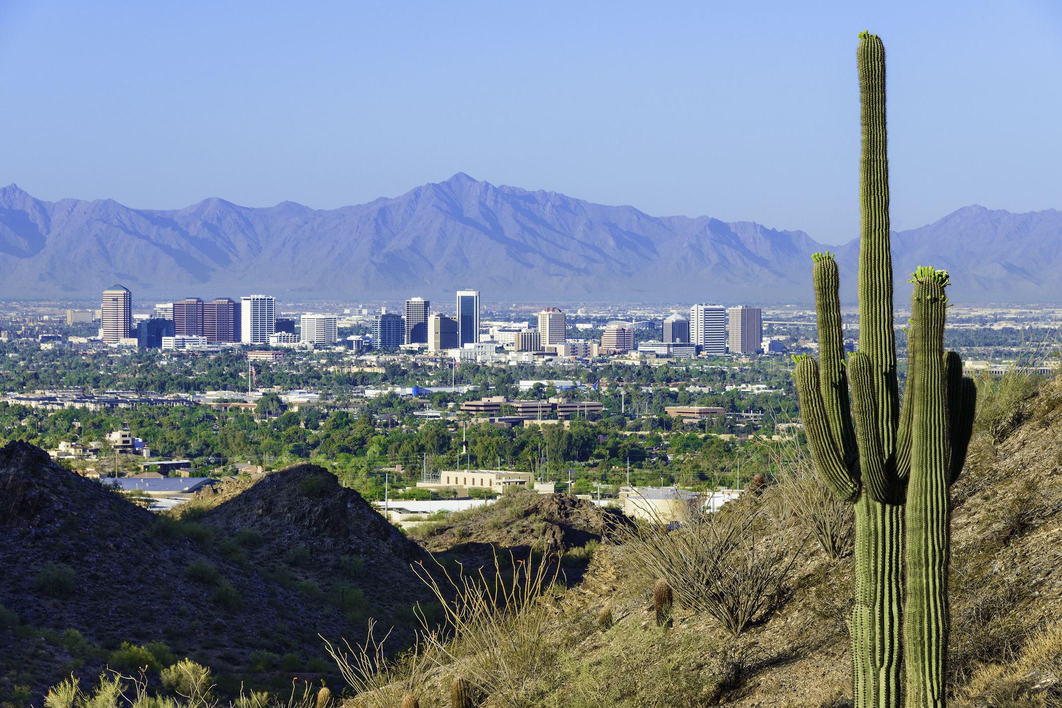 Phoenix Arizona skyline framed by saguaro cactus and mountainous desert